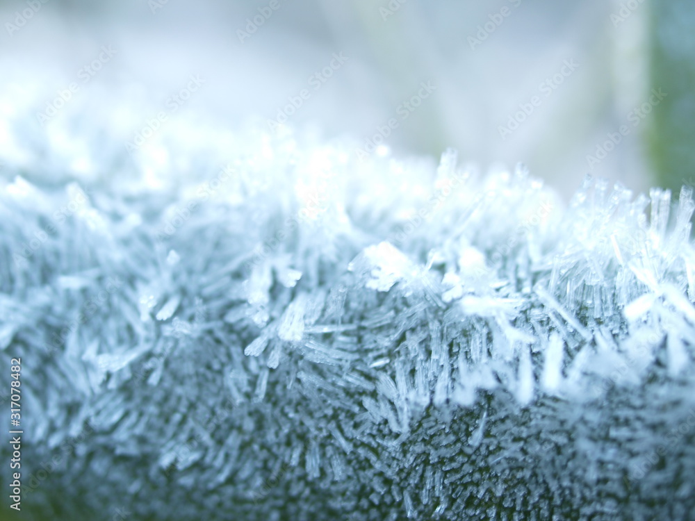 Fototapeta premium Winter, Eiskristalle, frost, Raureif, ice crystals