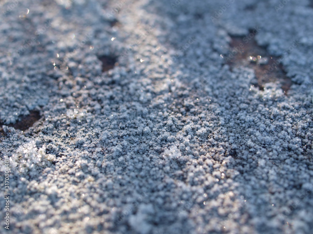 Flechte, lichen, raureif, frost, frozen, winter Flechte, lichen, raureif, frost, frozen, winter