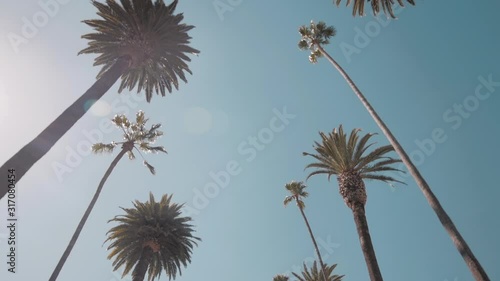 Driving Down Beverly Hills Boulevard Lined With Palm Trees in Slow Motion POV Looking up. Vacation, travel, lifestyle concept. Filmed in Beverly Hills, Los Angeles, California. Captured in 59.94 fps. 