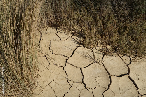 ausgetrockneter Boden, Halbwüste, Bardenas Reales, Spanien photo