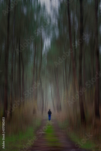 fotografia abstracta de una persona en un bosque. En la imagen los arboles parecen estar en movimiento mientras una persona camina por un sendero