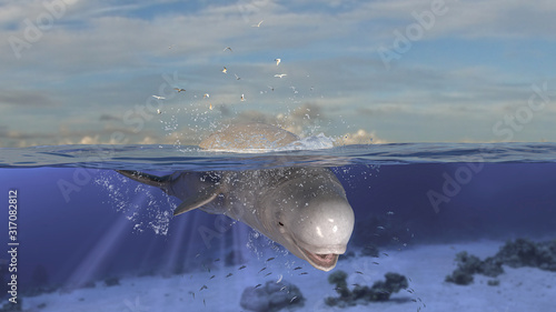 Fotografia, Obraz Beluga whale diving down to underwater after jumping out of sea 3d rendering