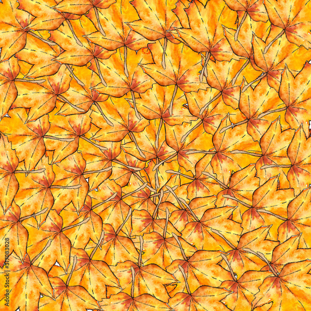 Fototapeta premium Autumn abstract maple leaves background