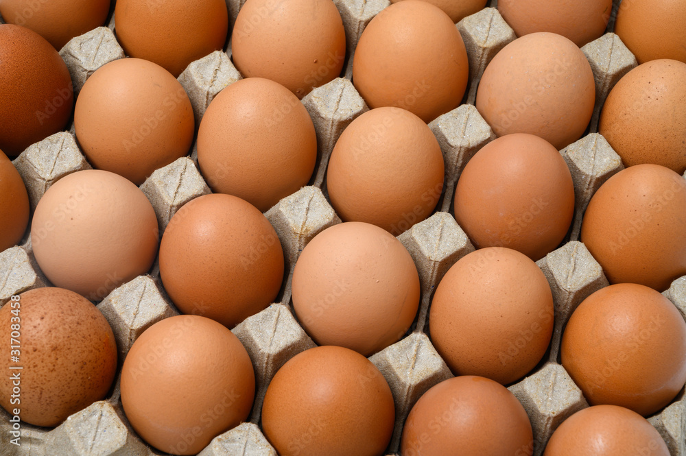 Eggs on paper egg tray close-up Eggs on paper egg tray close-up