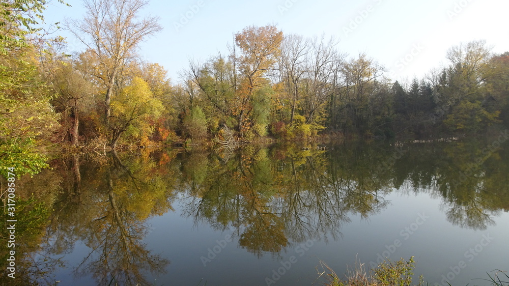 Trees by the lake in autumn