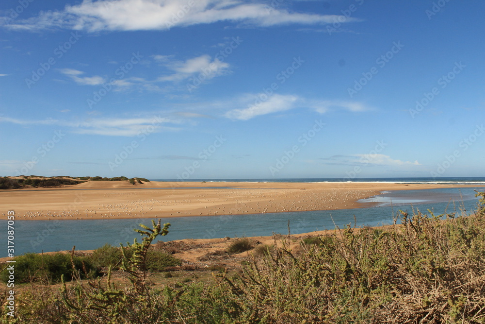a river flowing into the sky, sandbank and birds a river flowing into the sky, sandbank and birds