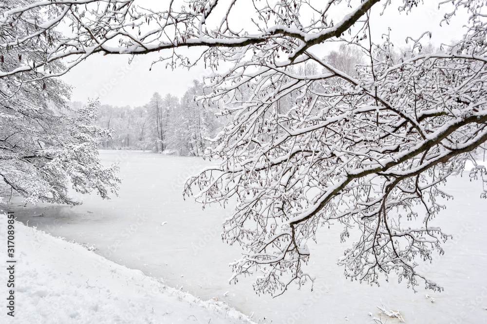 Snow-covered tree branch on the background of a winter landscape Snow-covered tree branch on the background of a winter landscape