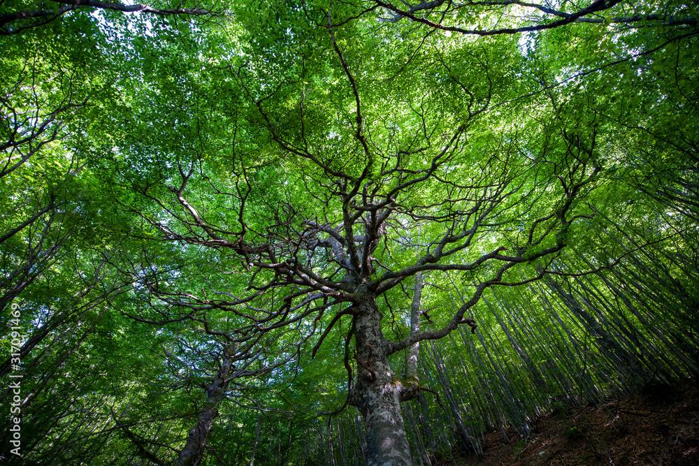 APPENNINO TOSCO EMILIANO | MAB UNESCO APPENNINO TOSCO EMILIANO | MAB UNESCO