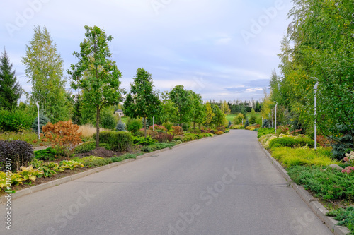 The road in the city park along ornamental shrubs and trees on autumn day.