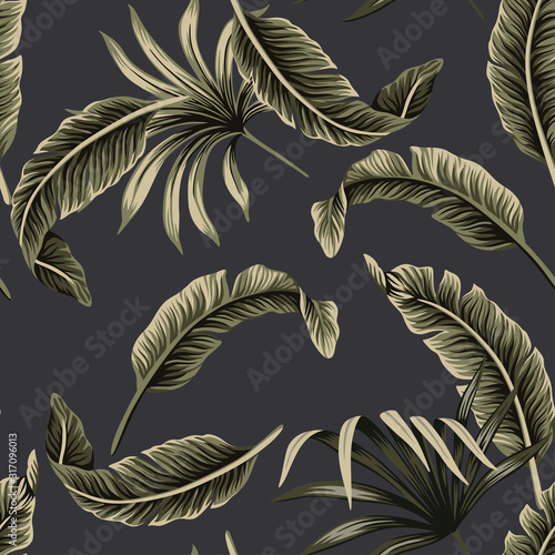 Fototapeta Tropikalne liście kwiatowy ciemnozielone palmy, liście bananowca czarne tło wzór. Tapeta egzotyczna dżungla noc.