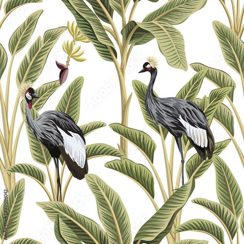 Tropical vintage botanical green palm tree, banana tree, crane floral seamless pattern white background. Exotic jungle wallpaper.