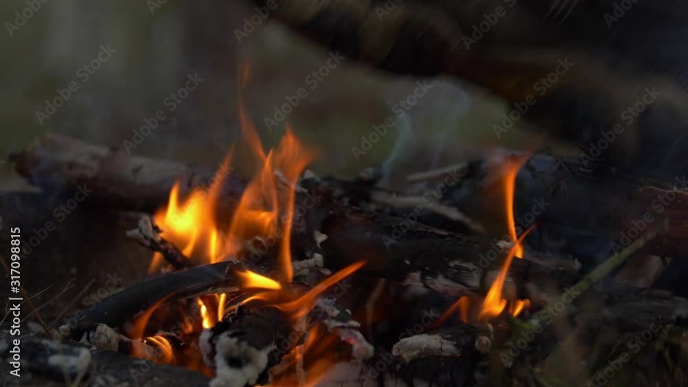 Putting out a fire in the forest by stepping on it. Putting out a fire in the forest by stepping on it.