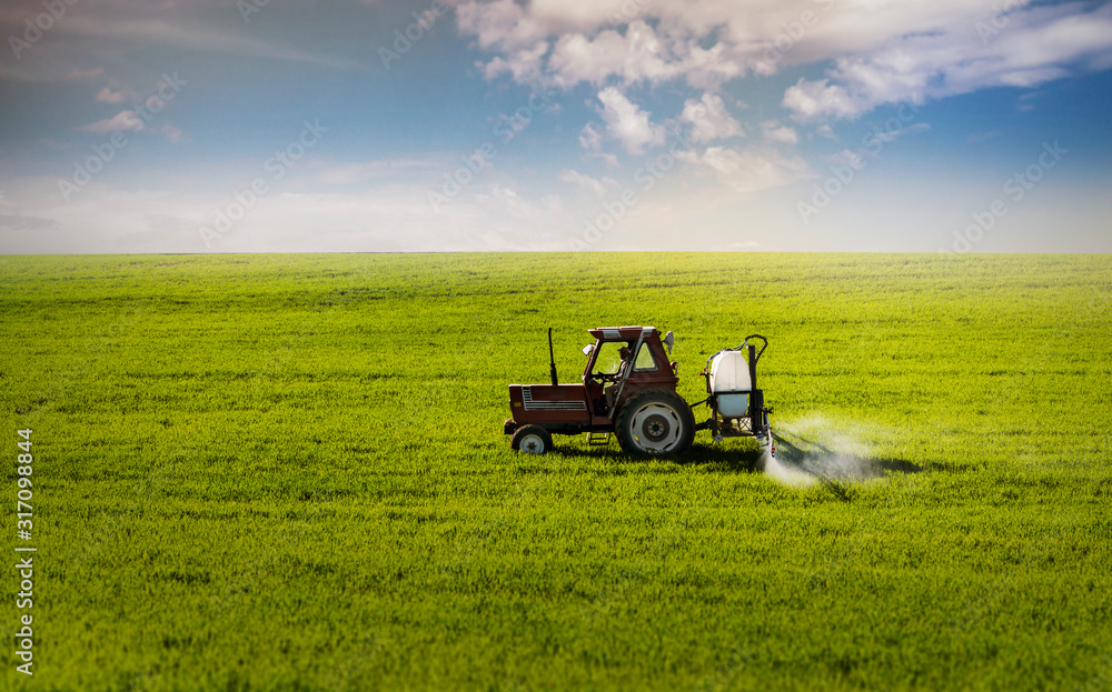Farmer is pesticide the crops by a tractor. Farmer is pesticide the crops by a tractor.