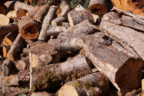 A pile of wood arranged for drying. A pile of various types of firewood.