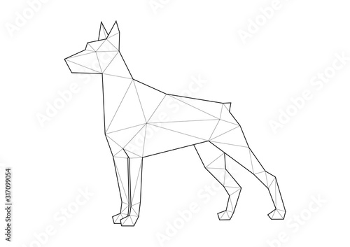 Low poly illustrations of dogs. Doberman standing.