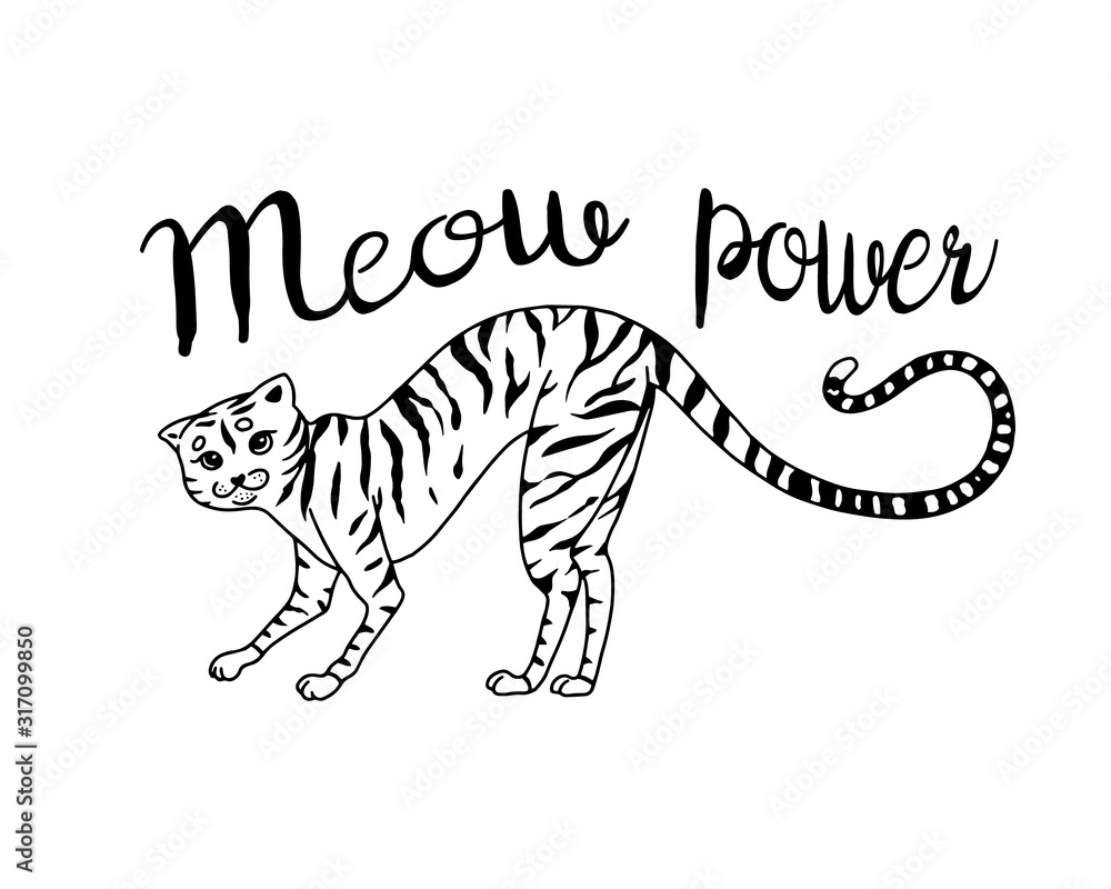 Striped kitty cat. Meow power. Cute pet. Hand drawn engraved sketch for logo or label or banner or t-shirt. Vector illustration in outline vintage doodle style.