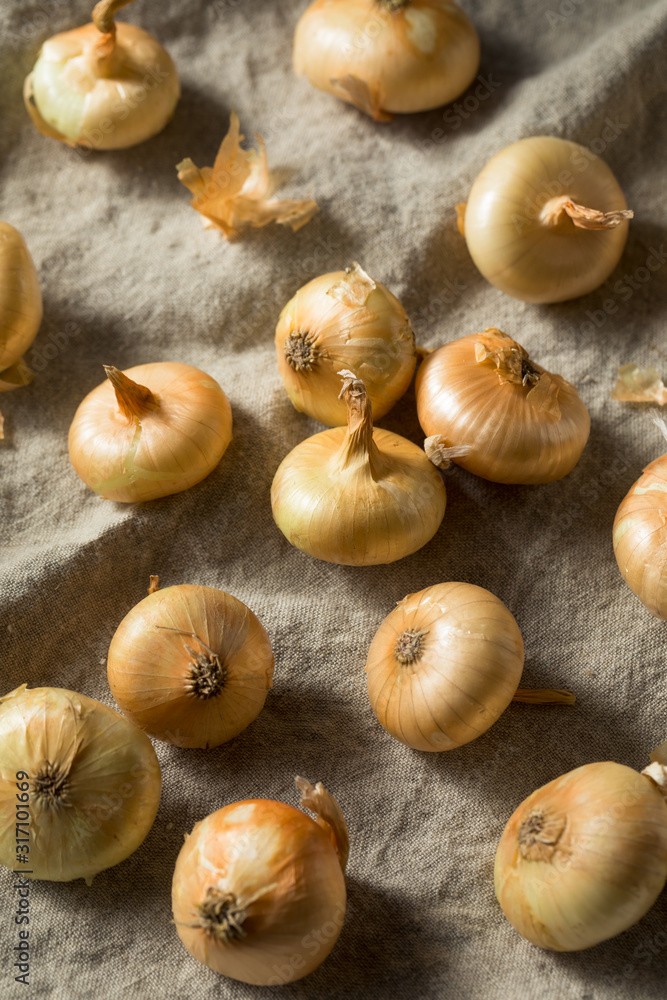 Raw Yellow Organic Cipolline Onions Raw Yellow Organic Cipolline Onions