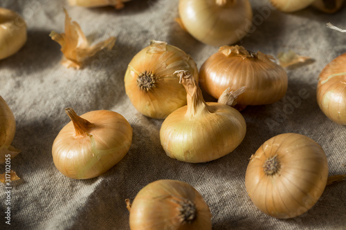 Raw Yellow Organic Cipolline Onions photo