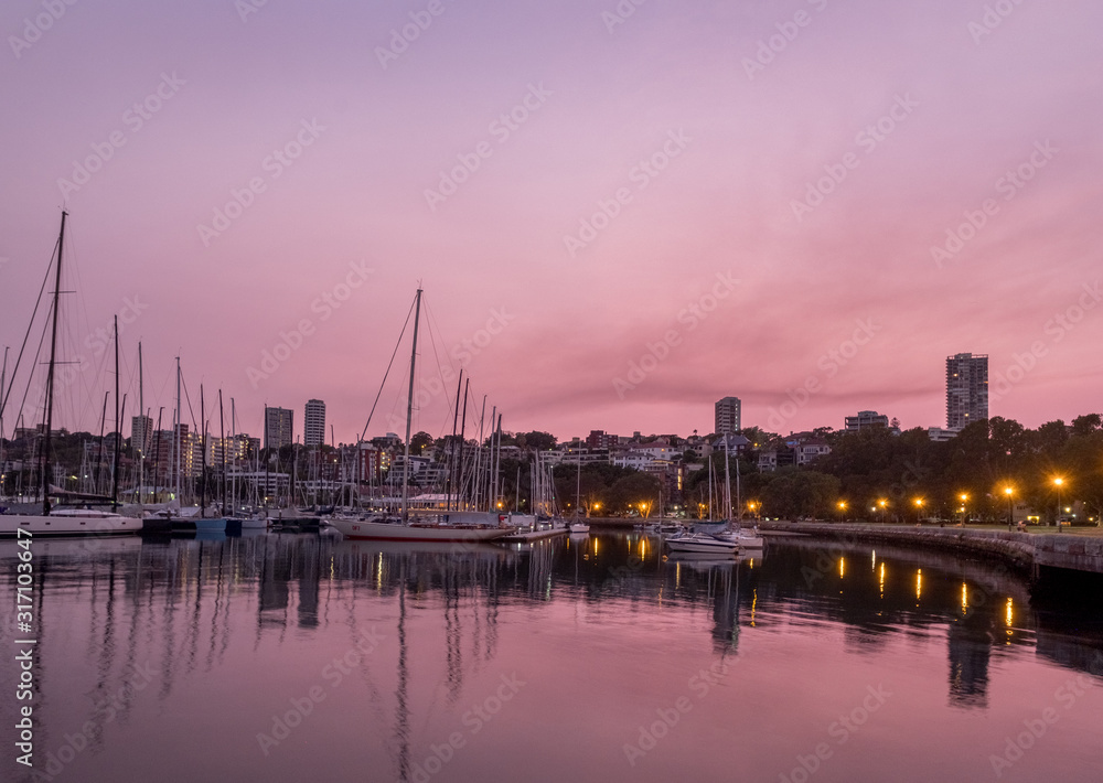 Park and moored yachts at dawn