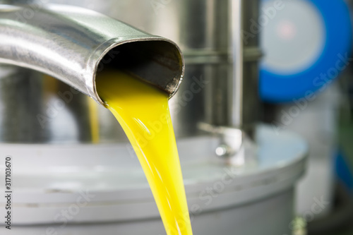 Cuadro en lienzo Ecological extra virgin olive oil production with modern technology, extraction