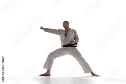 Karate fighters isolated on white.