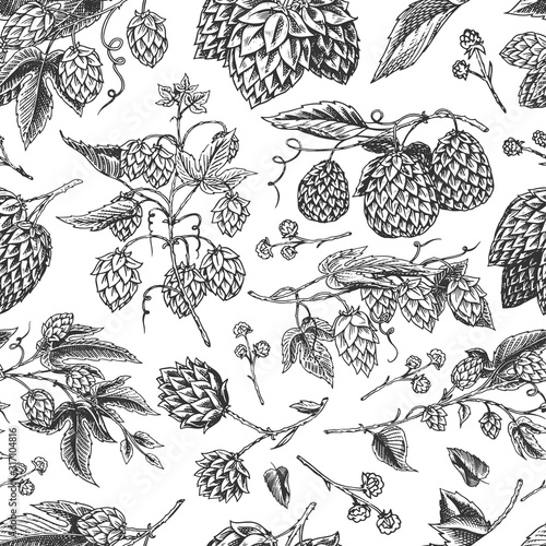 Hops and Barley Seamless pattern. Malt Beer. Engraved vintage Hand drawn collection. Sketch for web or pub menu, poster or banner. Design elements isolated on white background.