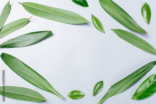 background of fresh green leaves, flatlay