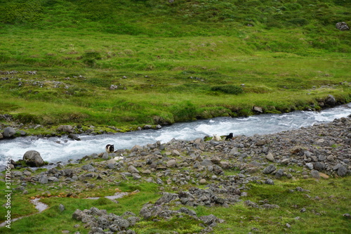 kleiner Fluss / Bach in der Wildnis auf Island