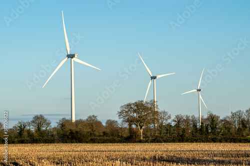 éolienne dans un champ en vendée france