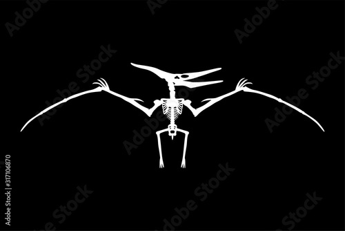 Dinosaur Pterodactyl Skeleton Silhouette Illustration Isolated