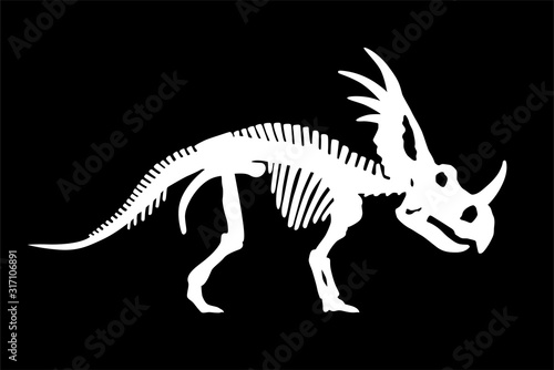 Dinosaur Styracosaurus Skeleton Silhouette Illustration Isolated photo