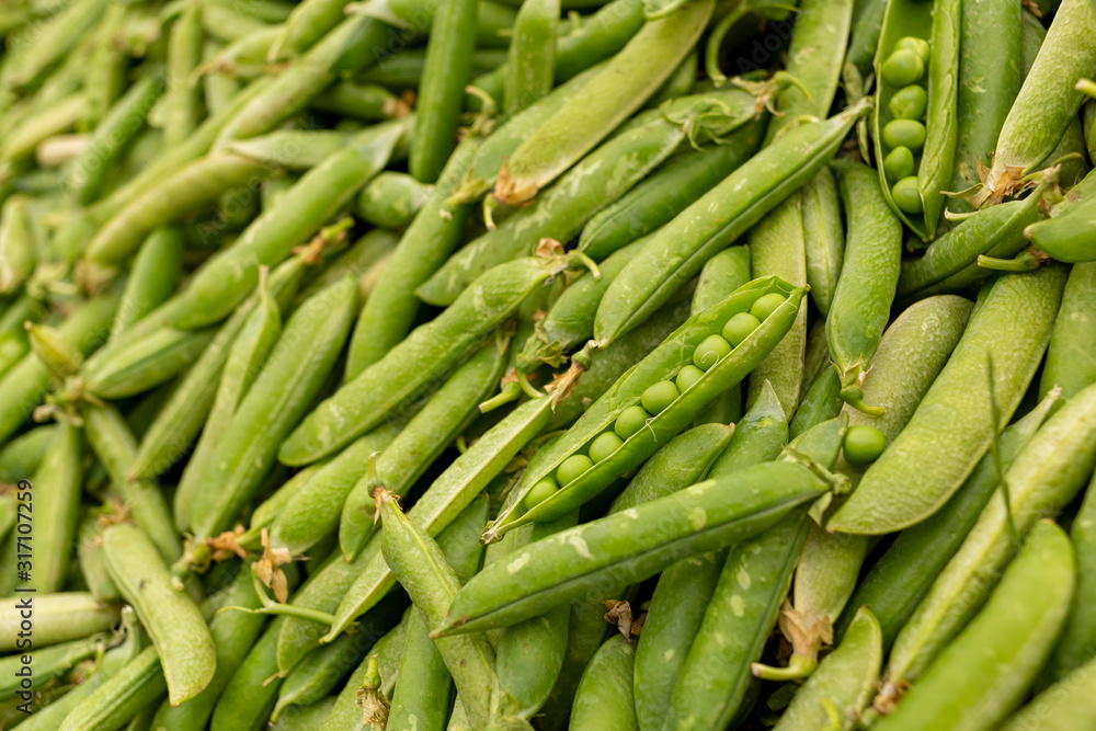 Close-up on a stack of organic green peas in their pods in a market stall. Close-up on a stack of organic green peas in their pods in a market stall.