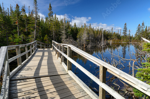 Wooden bridge in Gaspésie National Park, Quebec, CANADA.