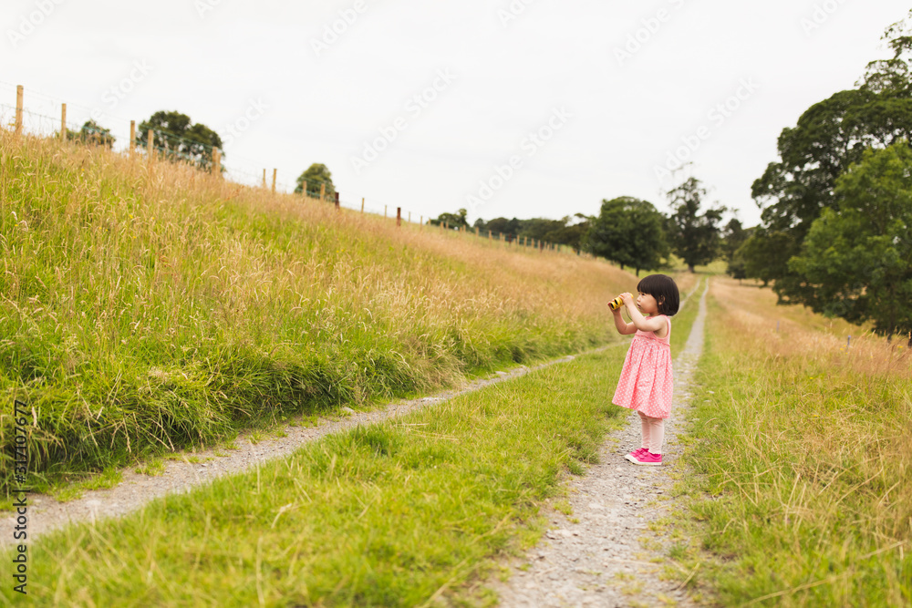 toddler girl playing in  summer countryside forest park,Northern Ireland