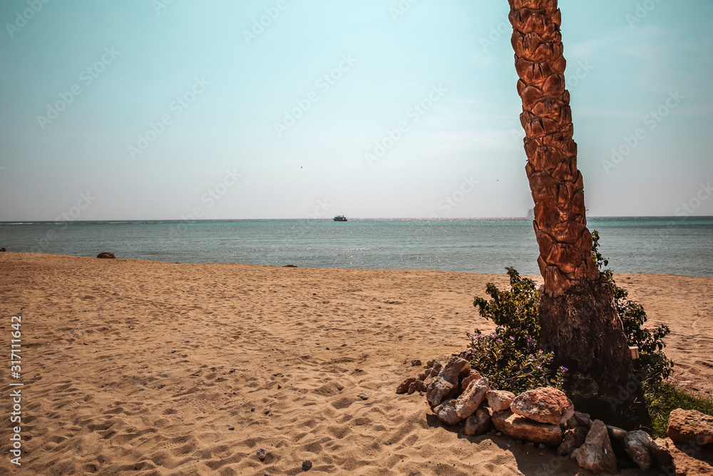 Fototapeta premium Background of beach with palms and summer time.