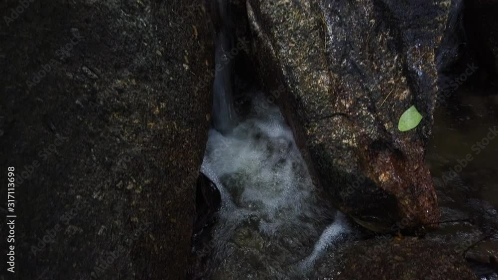 Flowing water in the lush tropical rain forest Flowing water in the lush tropical rain forest