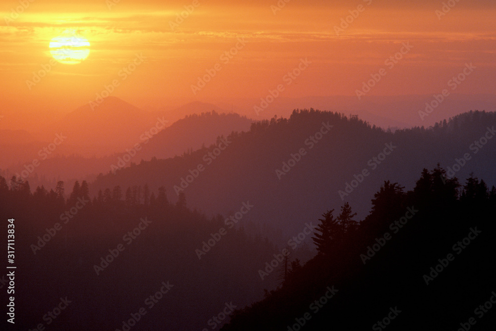 Sunset in the Sequoia National Park, California Sunset in the Sequoia National Park, California