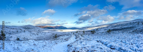 A panoramic scenic view of a snowy mountain trail track with small pine trees and mountain range summit in the background under a majestic blue sky and white clouds