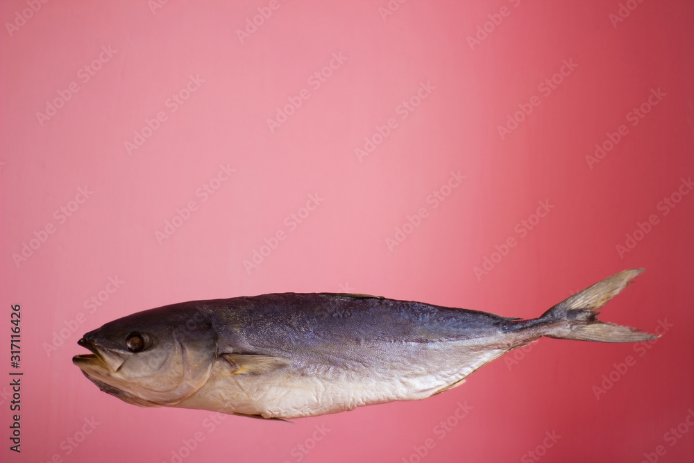 Fototapeta premium Tuna fish on a pink background, salted dried - isolate