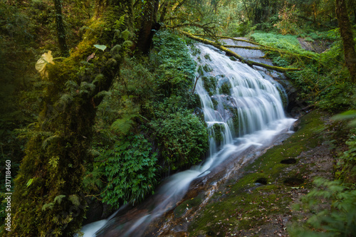 Lan Sadet waterfall  The small waterfall in Kiw Mae Pan Natural trail Doi Inthanon Chiang Mai Thailand