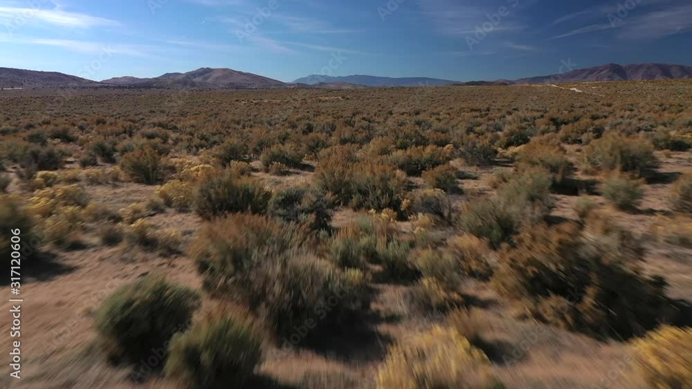 Low Drone Flight Over Sage Brush in Nevada Desert Low Drone Flight Over Sage Brush in Nevada Desert