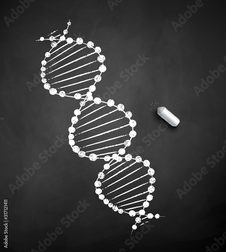 Chalk drawn illustration of DNA structure
