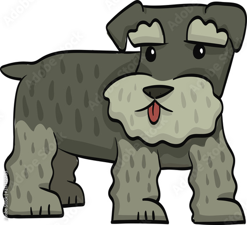 middle schnauzer funny drawing cartoon dog isolated