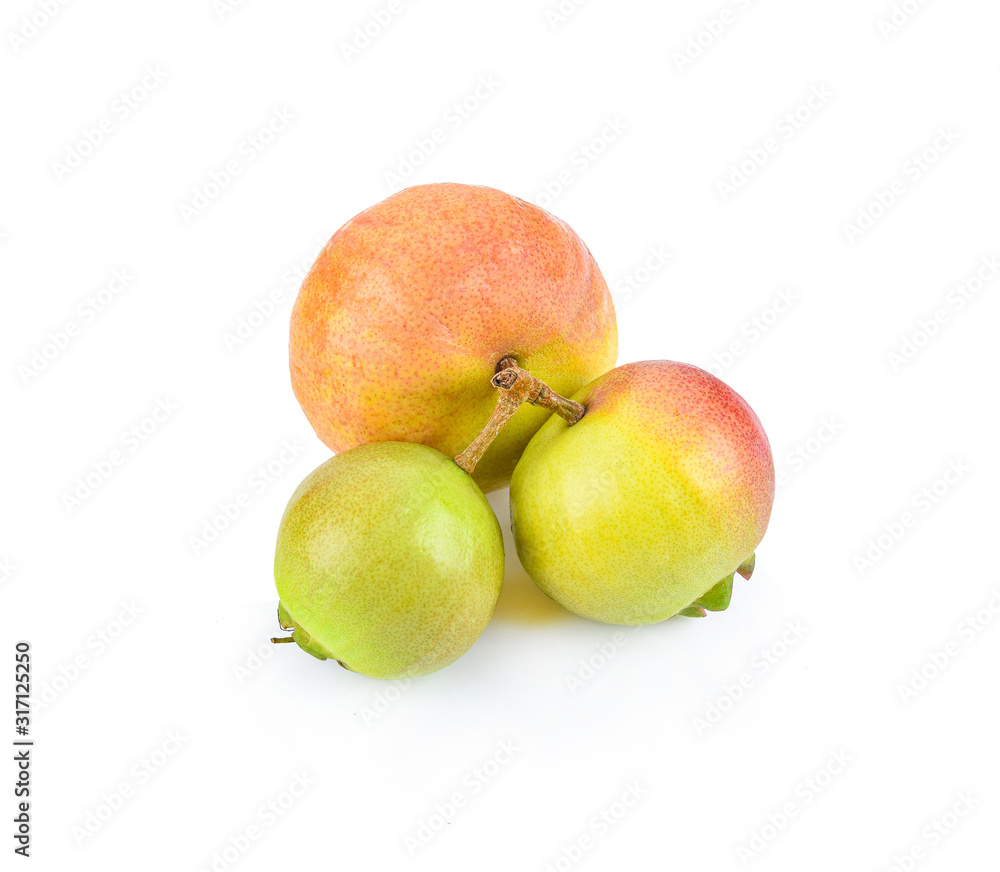 syzygium jambos isolated on white background syzygium jambos isolated on white background