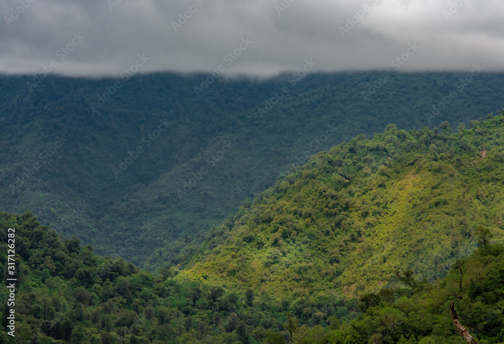 Fototapeta premium Foggy and lush mountain landscape.
