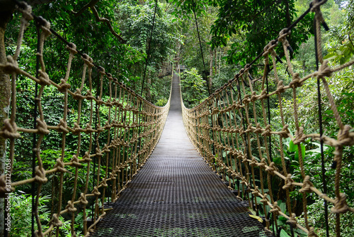 Fototapeta Naklejka Na Ścianę i Meble -  Bridge Rainforest Suspension bridge, Crossing the river, ferriage in the woods