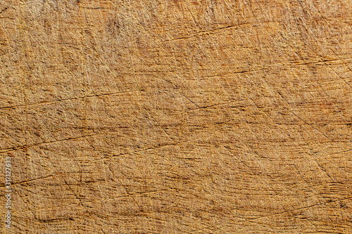 Scratched old wood texture. Macro shot with good scratch details. Wooden backgrounds.