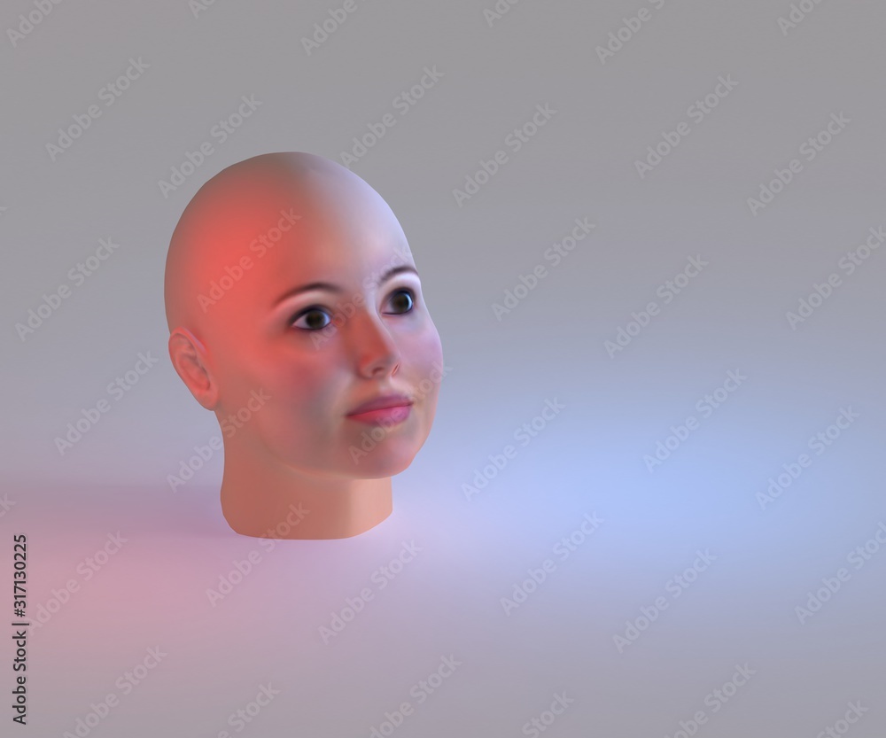 3D image of beautiful female dummy hairless head - portrait of a pretty woman isolated on white background - concept style and fashion design 3D image of beautiful female dummy hairless head - portrait of a pretty woman isolated on white background - concept style and fashion design