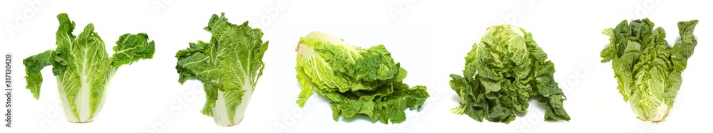 Beijing cabbage isolated on a white background. Beijing cabbage isolated on a white background.
