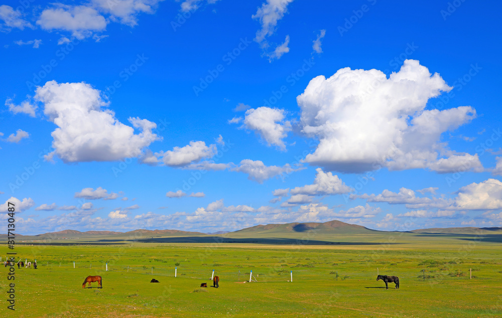 Many horses are grazing under the blue sky and white clouds